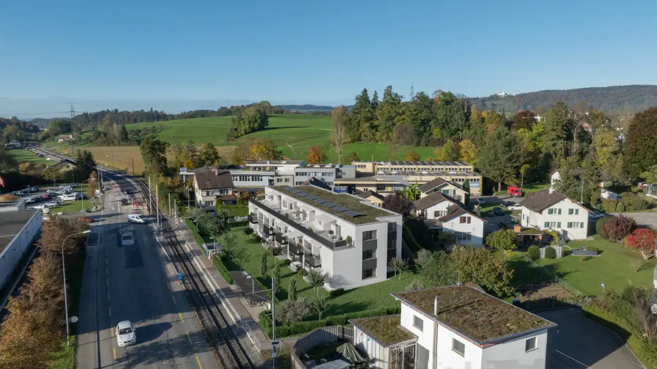 Im Wiesengrund